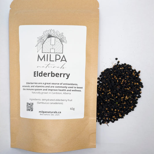 Elderberries. Can be used for Elderberry tea, Elderberry syrup, desserts, etc. Milpa Naturals, Naturally grown in Cardston, Alberta.