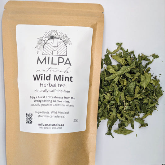 Wild Mint Herbal Tea. Canadian Mint. Mentha Arvensis. Mentha Canadensis. Milpa Naturals. Naturally grown in Cardston, Alberta