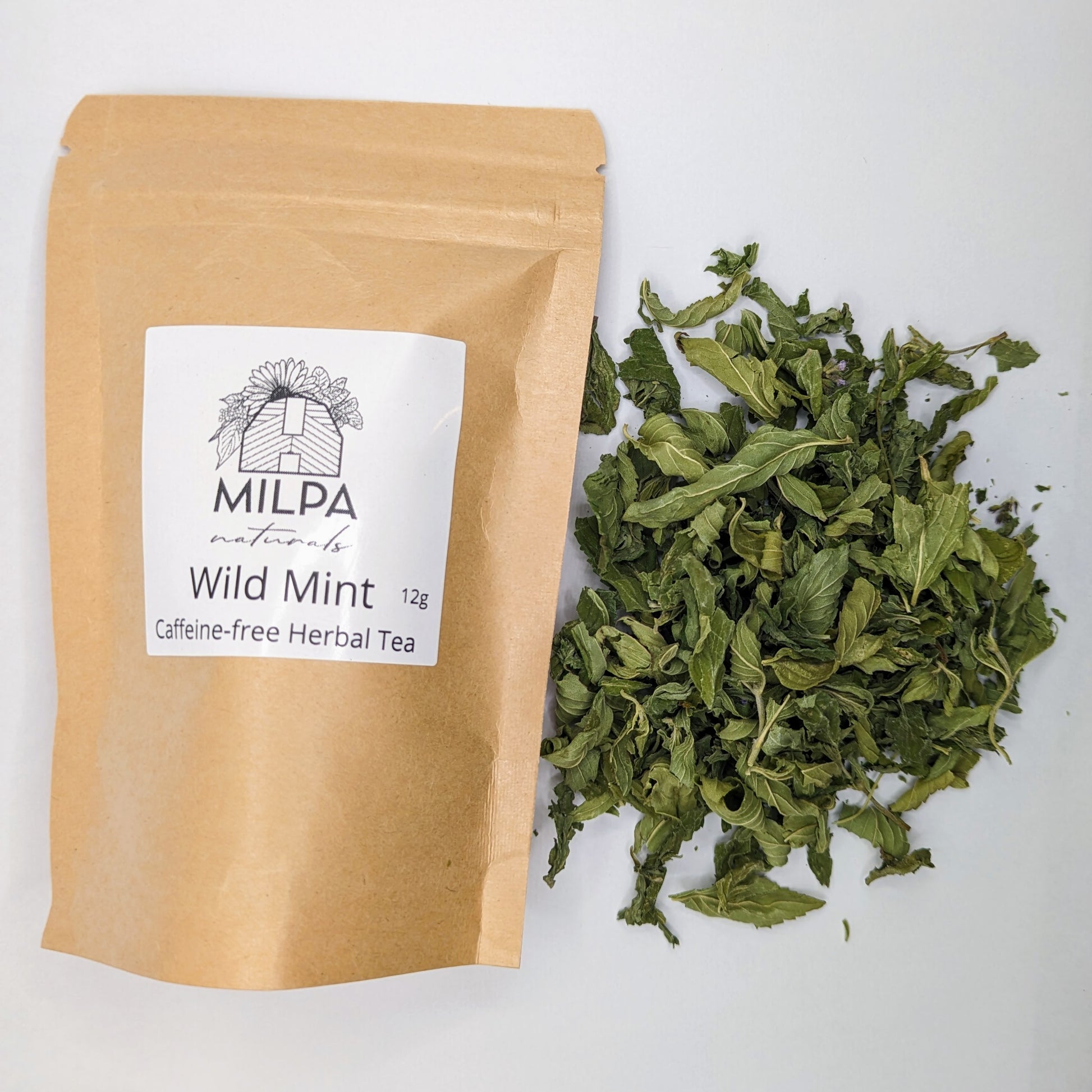 Wild Mint Herbal Tea. Canadian Mint. Mentha Arvensis. Mentha Canadensis. Milpa Naturals. Naturally grown in Cardston, Alberta